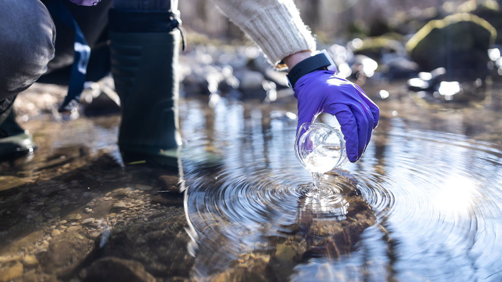 Person sampling water from a stream