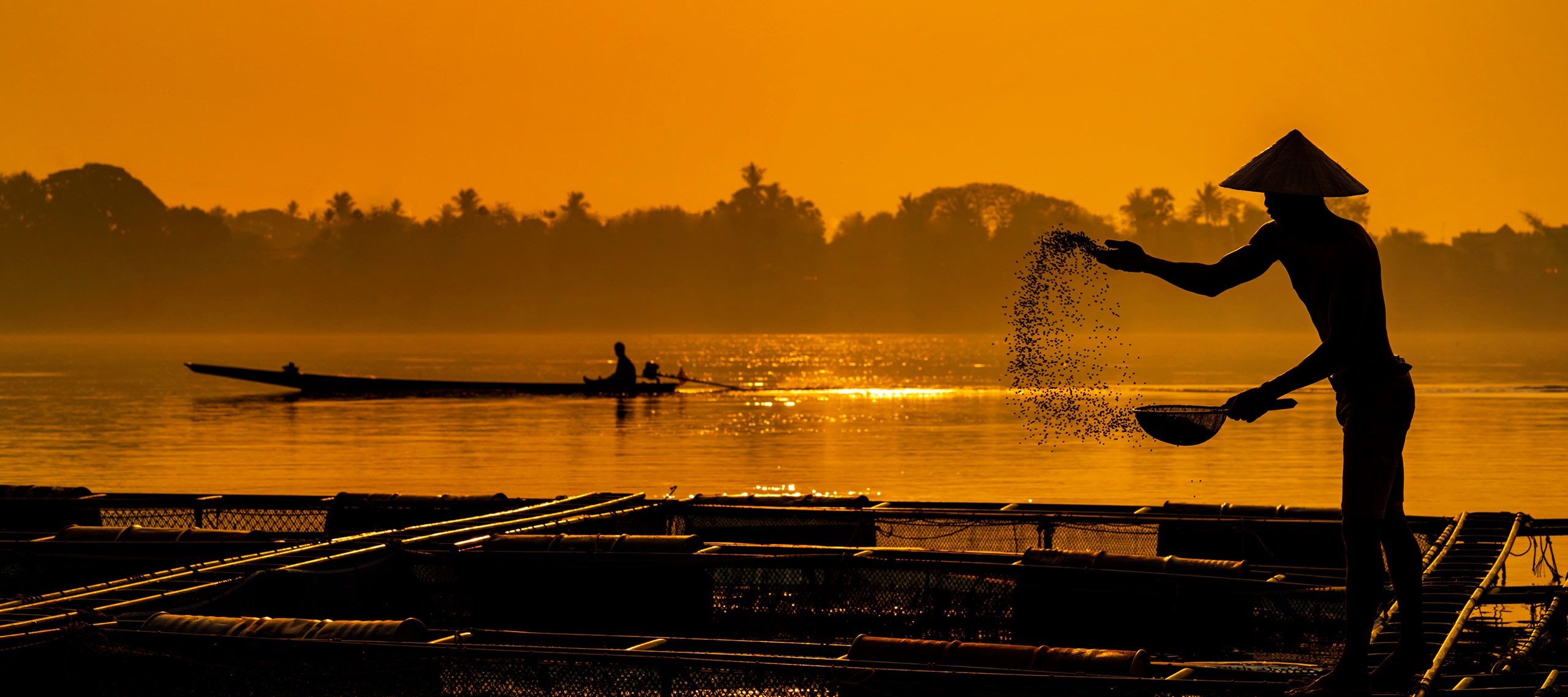 A fisherman feeds fish at a commercial farm in Mekong River.