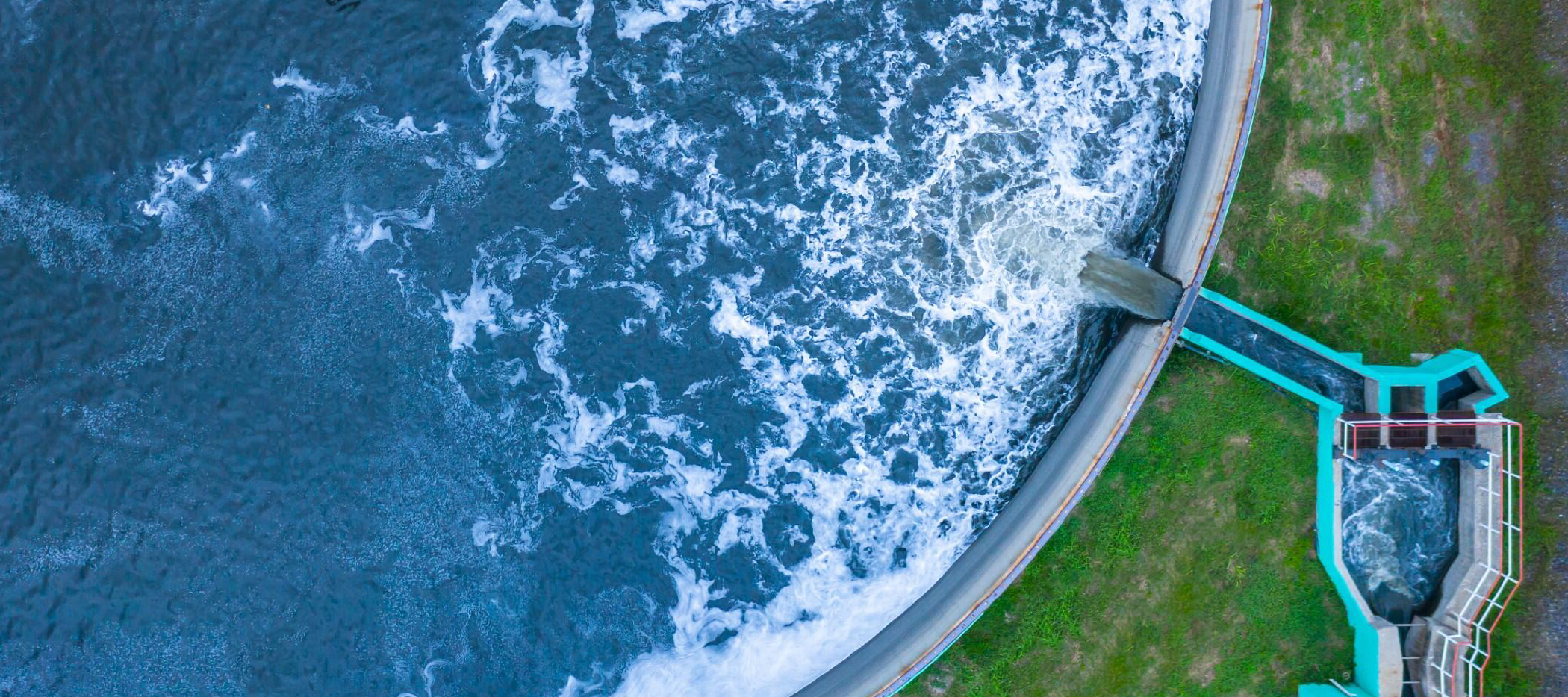 An Atlantic Salmon being returned to the Stryn River, Norway in crystal clear water.