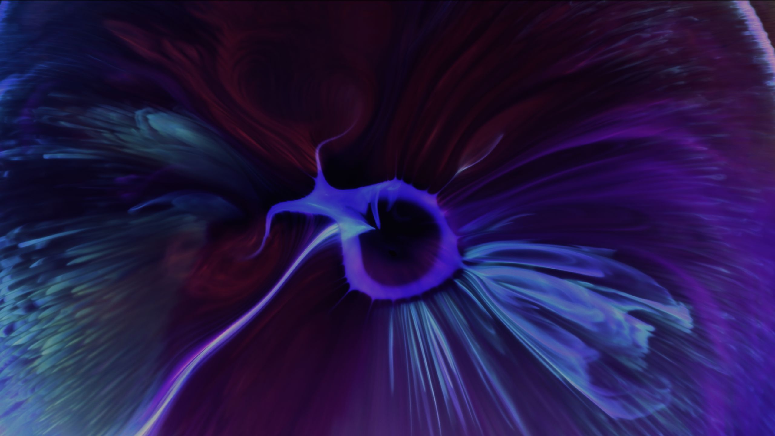 Blue and purple ink flow out from the center in an abstract photograph